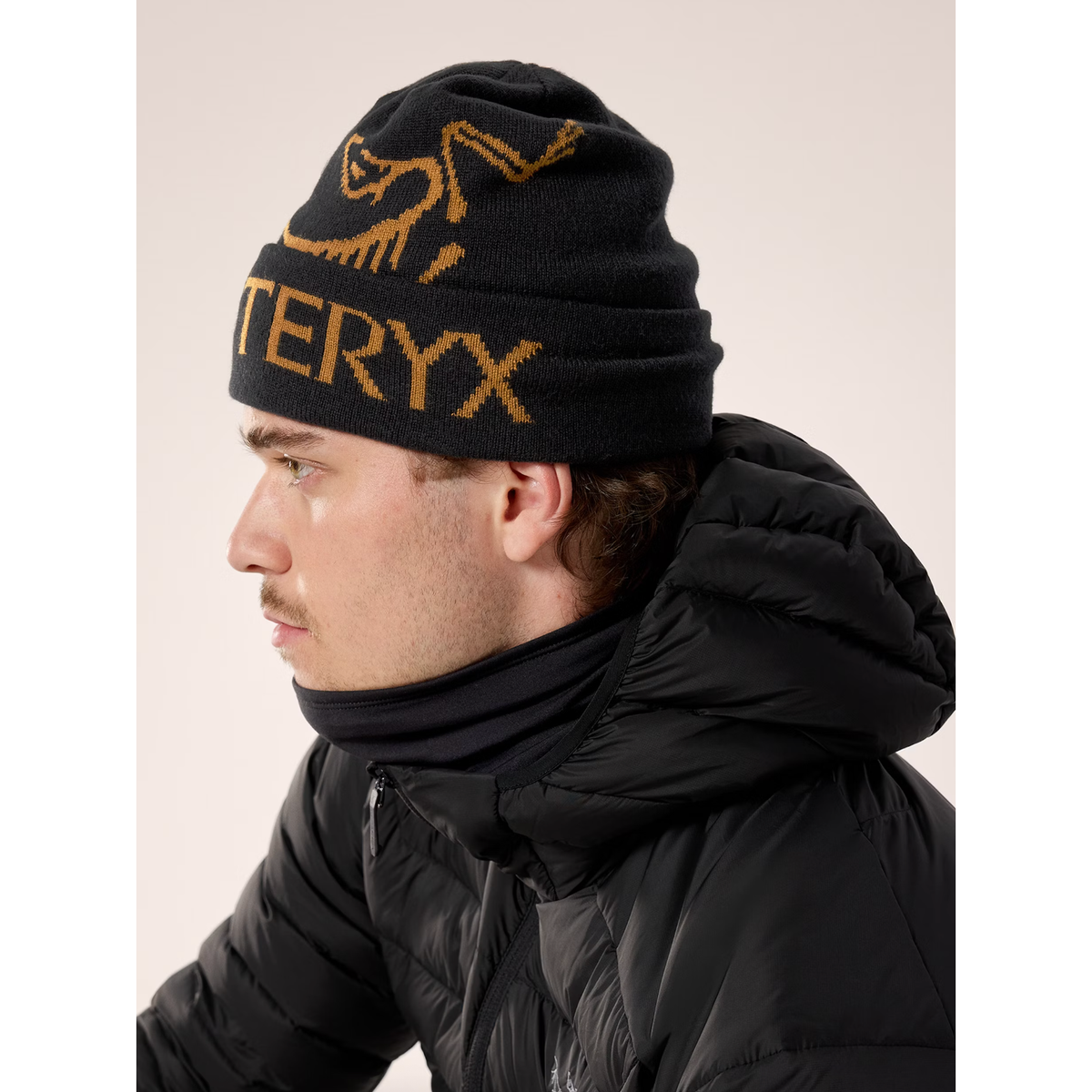 Arc'teryx Bird Word Toque