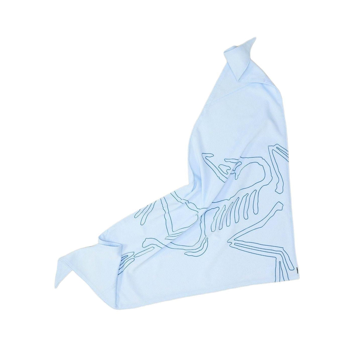 Arc'teryx Sinsolo Bandana